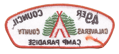 Forty Niner SA-10:10 (back)