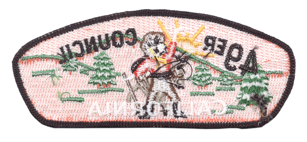 Forty Niner SY-1 (back)