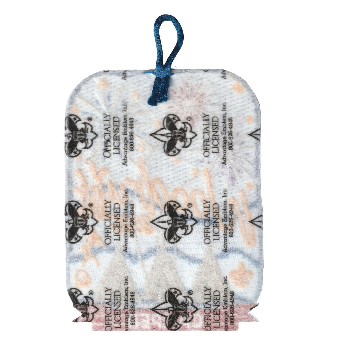 Woodruff Scout Reservation eX2026-1 (back)
