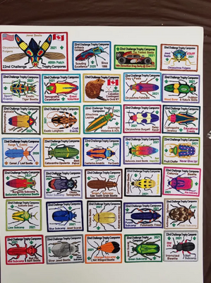 Challenge Trophy Camporee 2021 Beetles