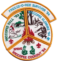 1993-1994 Wiccopee District Activity Set issue set image